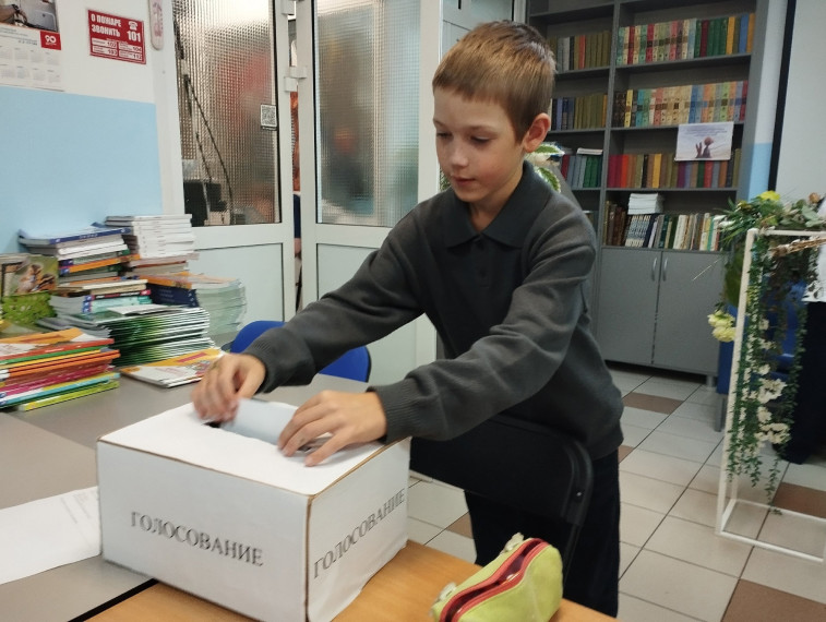 Выборы.
